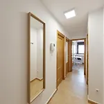 Wayteko * لقنت
